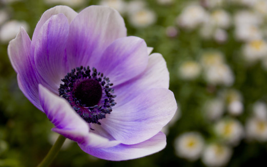 535753 (a): :2560x1600